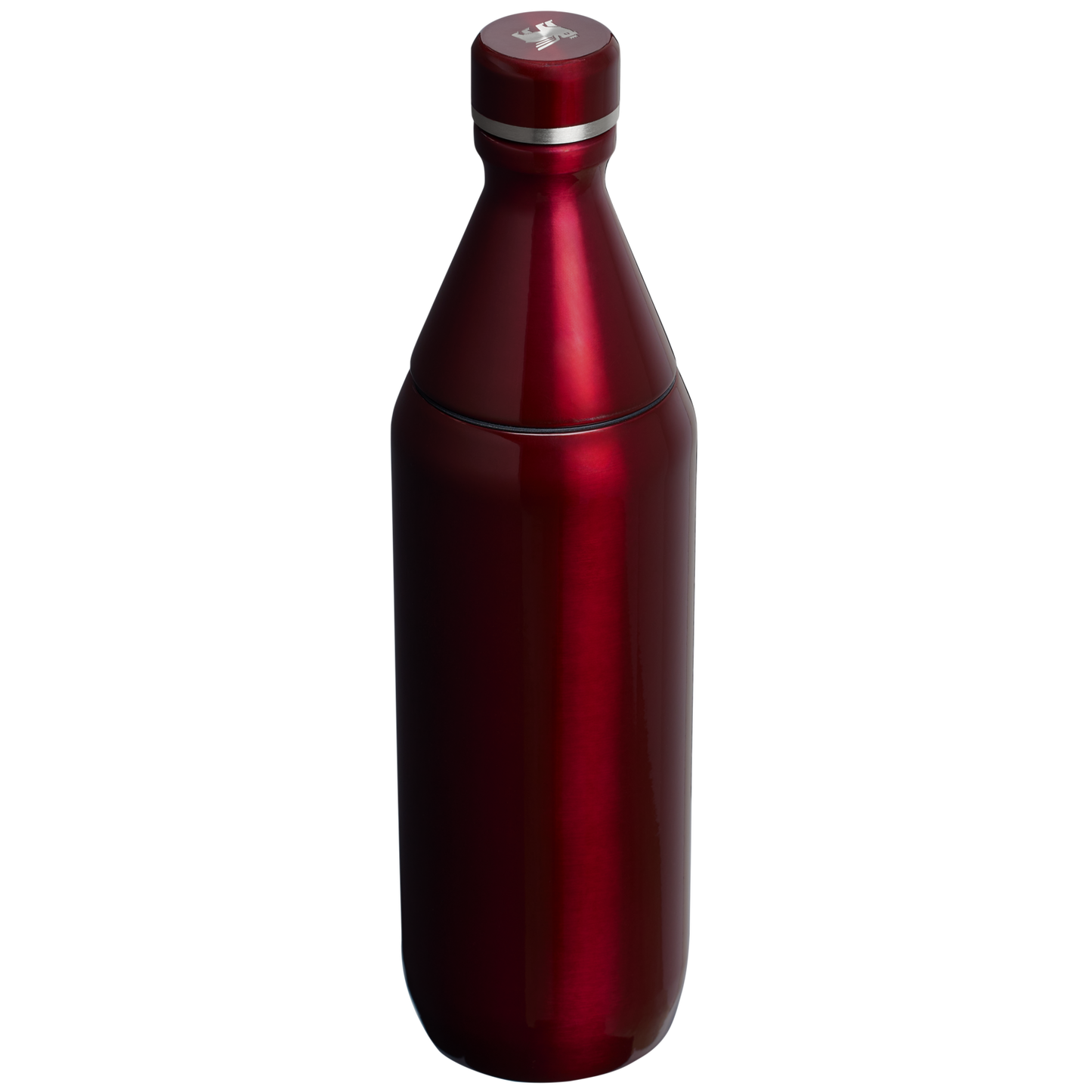 All Day Slim Bottle | 20 OZ - Stanley Create