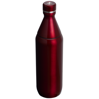 All Day Slim Bottle | 20 OZ - Stanley Create