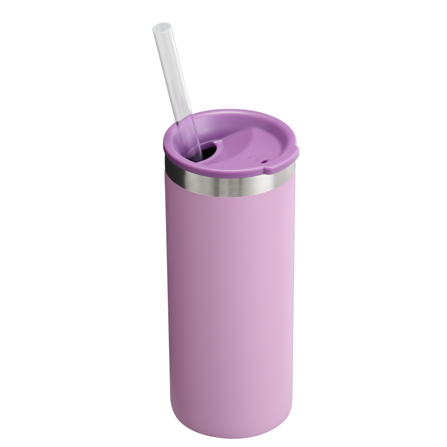 The Everyday Slim Can Cooler Cup | 10 OZ - Stanley Create